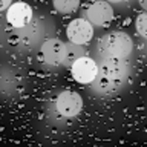 Meet your Posher, Tamar